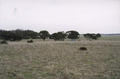 #4: Looking west with car in distance.