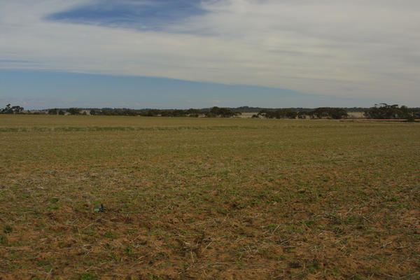 View across confluence (GPS in left foreground)