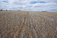 #2: View East