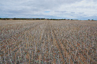 #4: View West