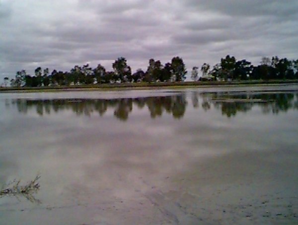 View east from the confluence