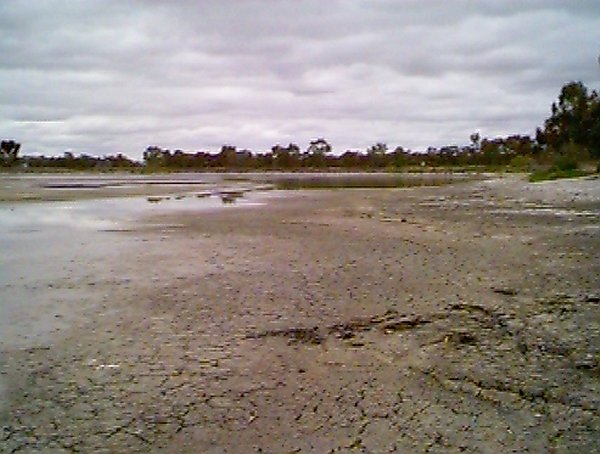 View south from the confluence