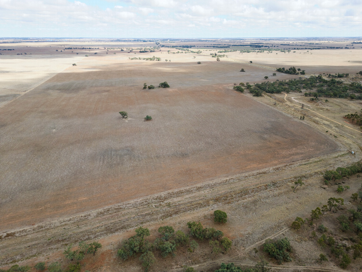 View West, from 120m above the point