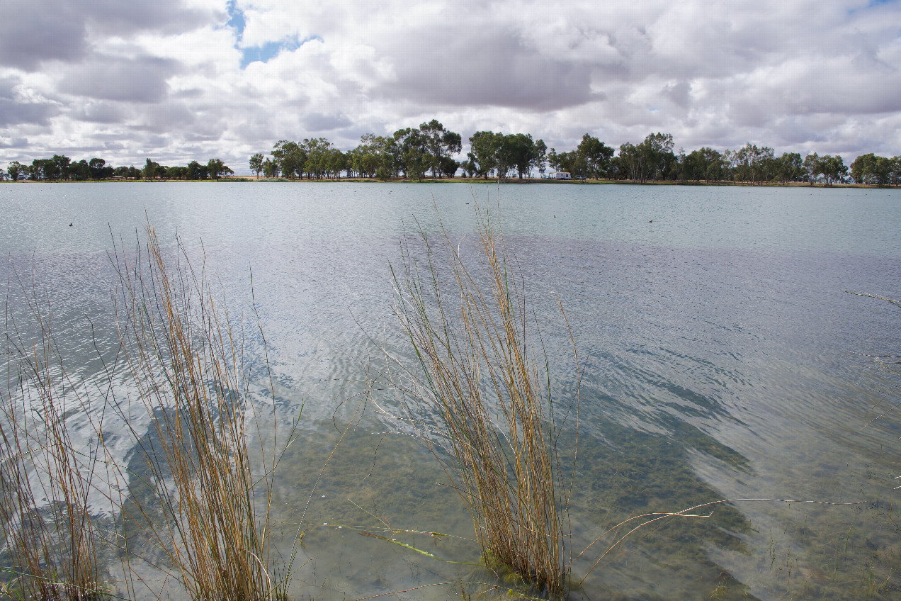 The confluence point lies 54m away, in this small lake.  (This is also a view to the East.)