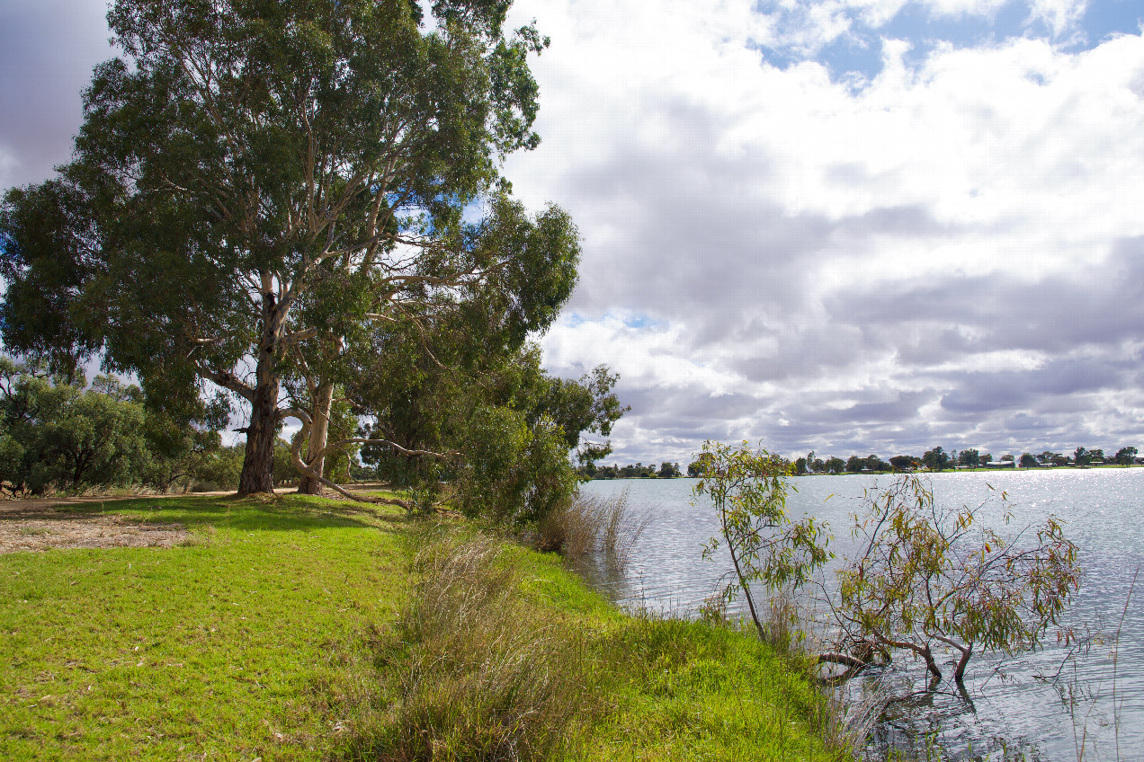 View North, from 54m West of the point