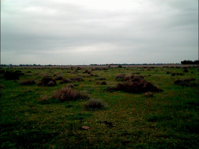 Facing east.