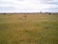 #6: View north from the confluence