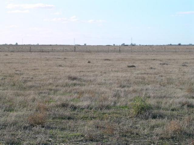 View to the north