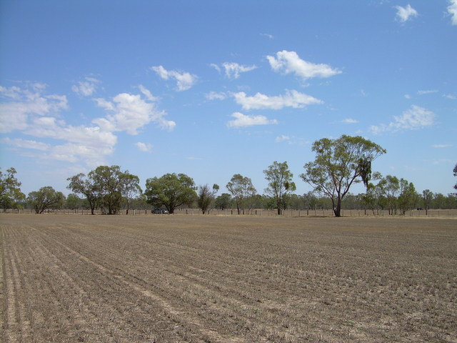 View north