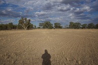 #2: View East (of my shadow)
