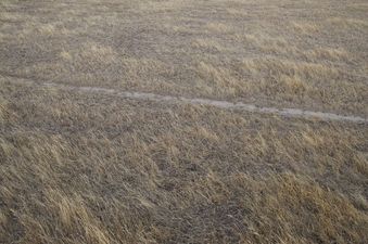 #1: The confluence point lies in a pasture.  (The straight line appears to be a dirt bike track.)