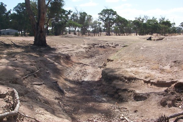 A dried up gully 100m northwest of the confluence gives evidence of the drought that has been affecting this already arid region