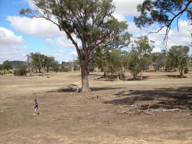 View east back towards to car (partially obscured by the big tree)