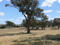 #4: View South - back towards the road