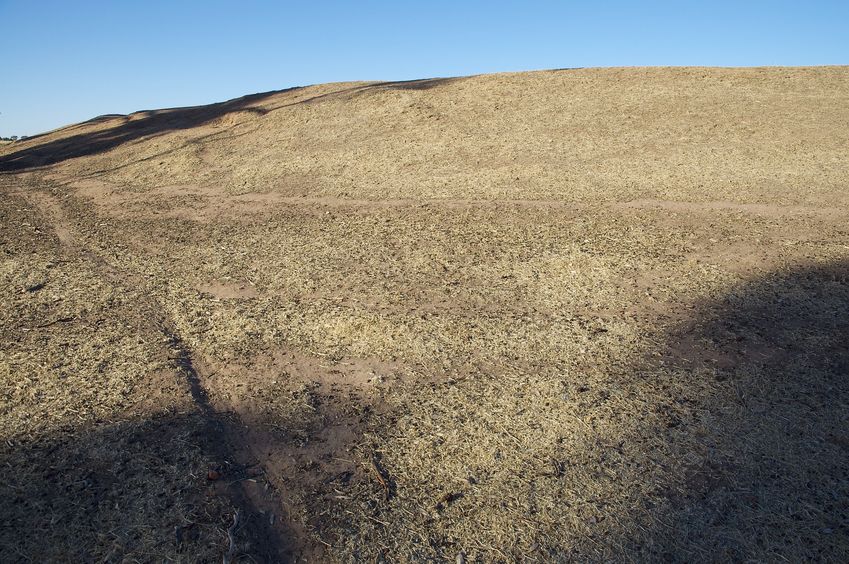 The confluence point lies on the side of a dammed-up watering hole