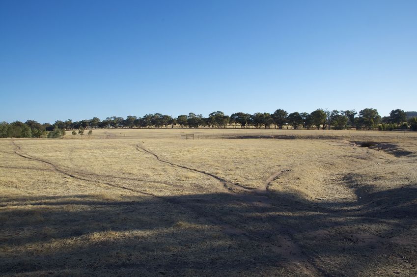 View South (towards the farm road, just 200 metres away)