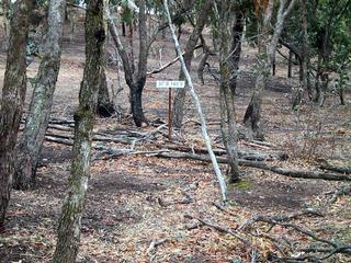 #1: The confluence was situated in small group of trees.