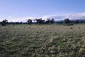 #4: View to the north