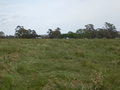 #3: View to the West