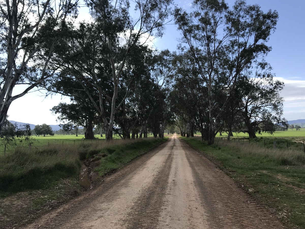 Nearest road to the confluence, looking north. 