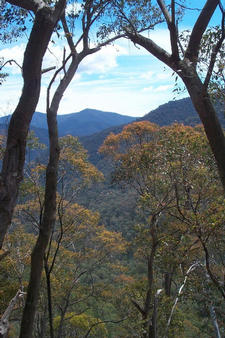 #1: Looking west from the confluence