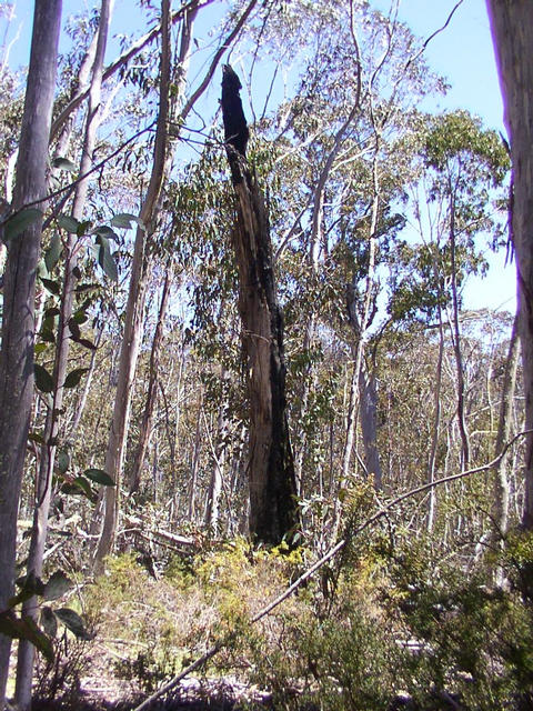 Main view from the confluence