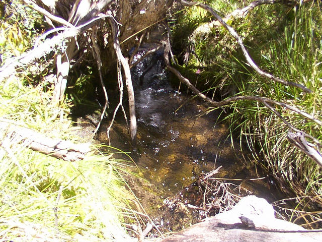 A small mountain stream