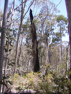 #1: Main view from the confluence