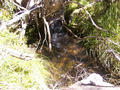 #6: A small mountain stream