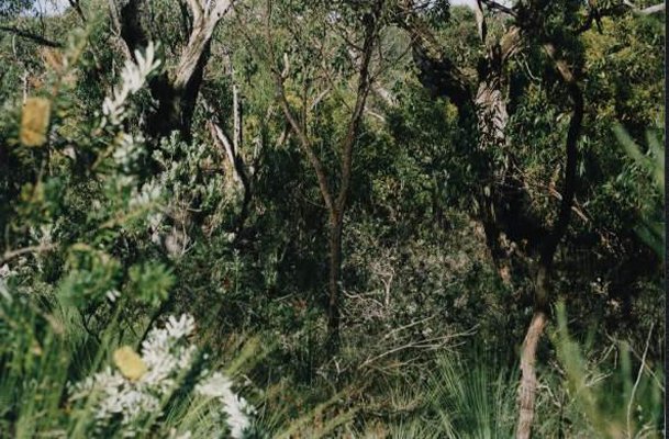 View from the walking track looking south.