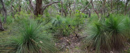 #1: General View of Confluence Area