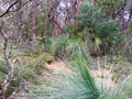 #4: View to the East from the Confluence Point