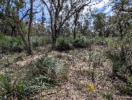 #10: Finally - the Confluence itself