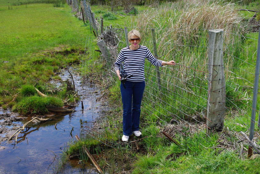 Making use of the mesh to cross the creek