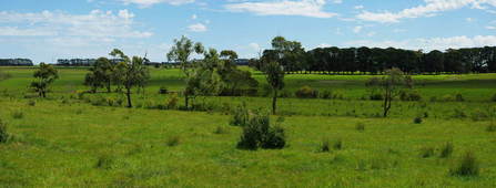 #1: General View of Confluence Area