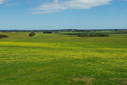 #9: Looking directly south towards the confluence from where we parked our vehicle, 1100 metres from the Confluence