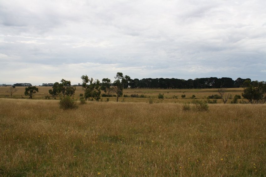 Looking West from the Confluence