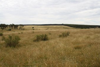 #1: General Area looking from South To the North