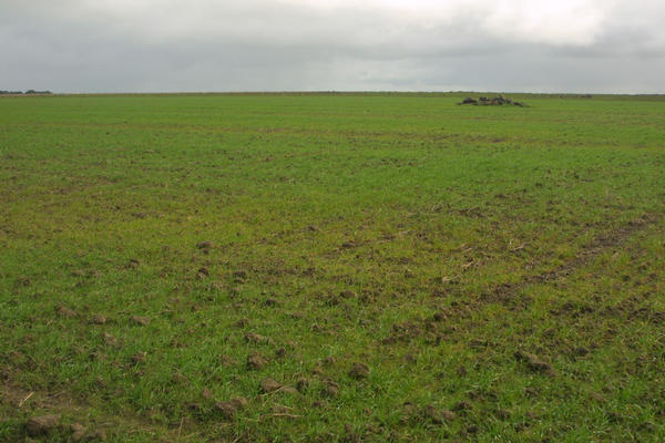 View W (to road) from confluence