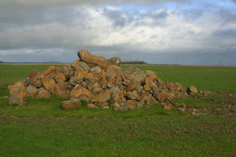 #1: Pile of basalt in field