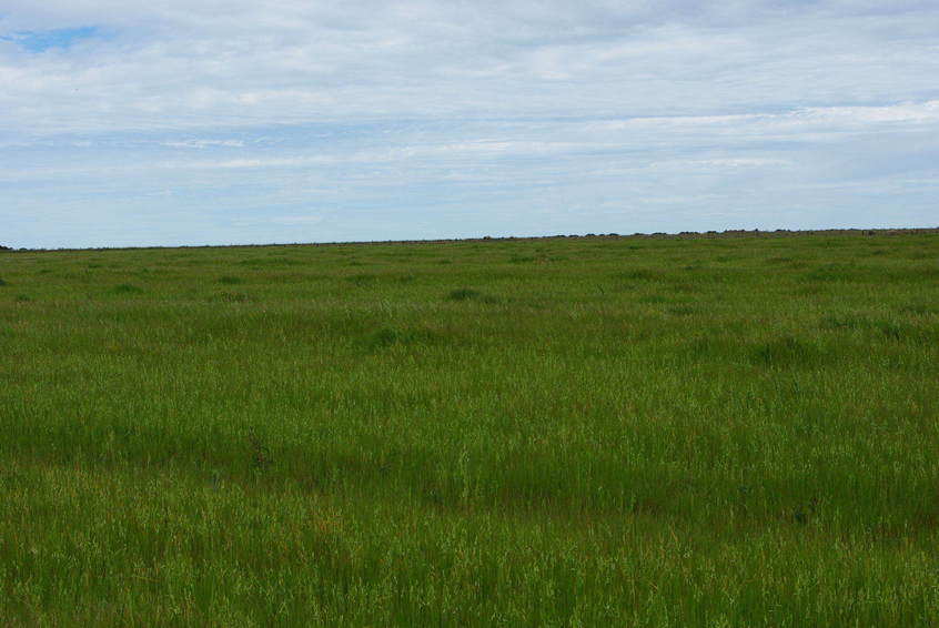 Looking West From Confluence