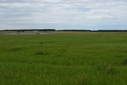 #4: Looking East From Confluence