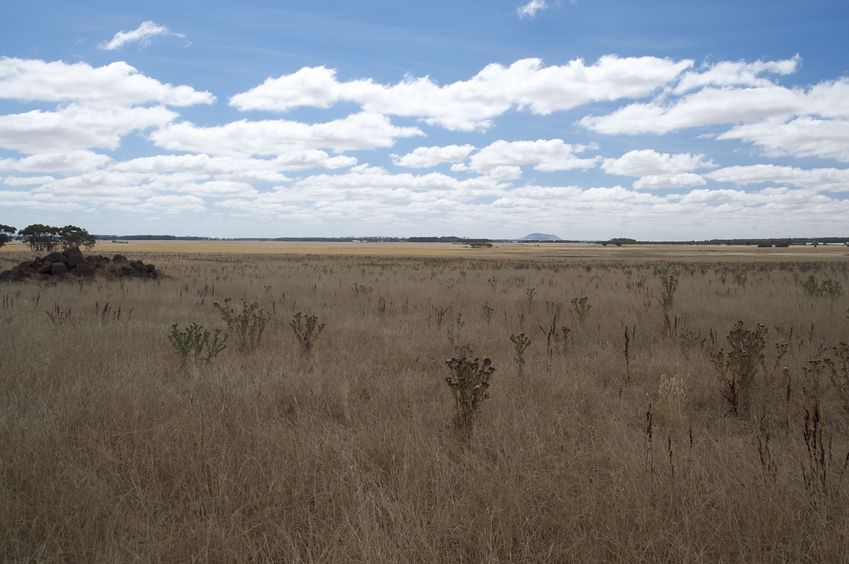 View East (with the nearby rock pile in the foreground, and "Mount Elephant" in the distance)