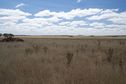 #3: View East (with the nearby rock pile in the foreground, and "Mount Elephant" in the distance)