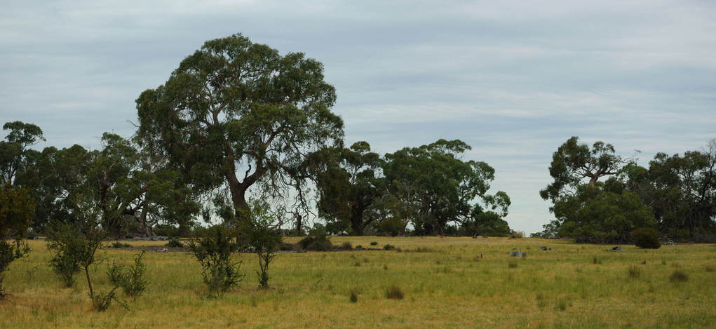 General View of Confluence Area