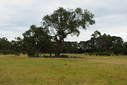 #2: Looking North from the Confluence