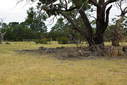 #4: Looking East from the Confluence