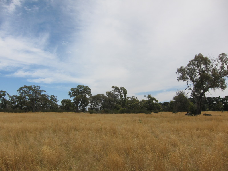 View looking north