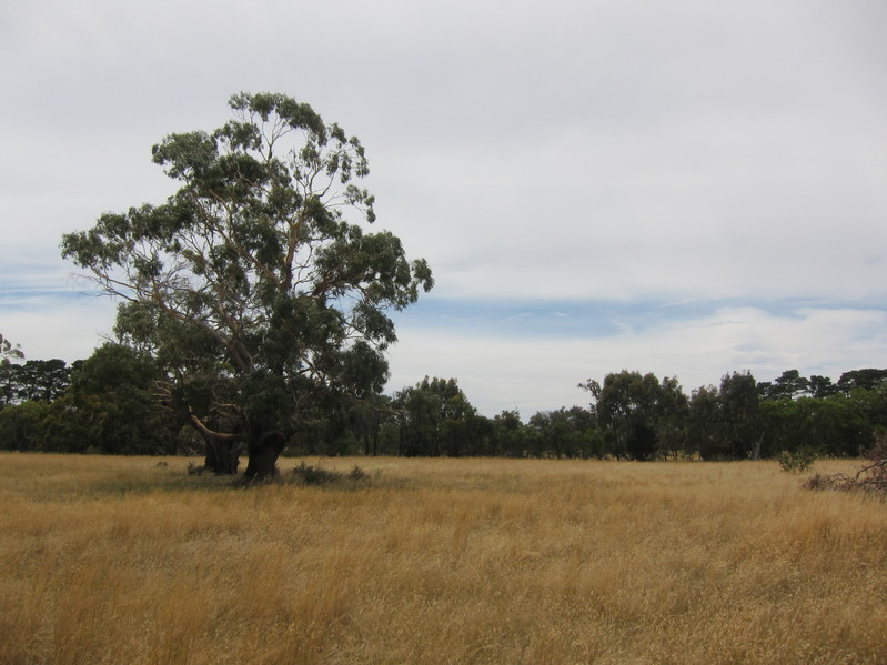 View looking east