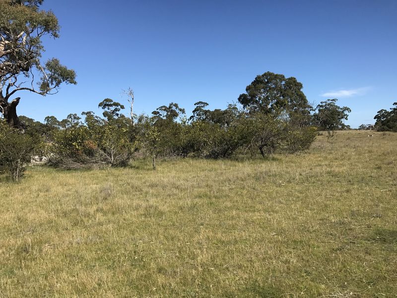 View to the west from the confluence point. 